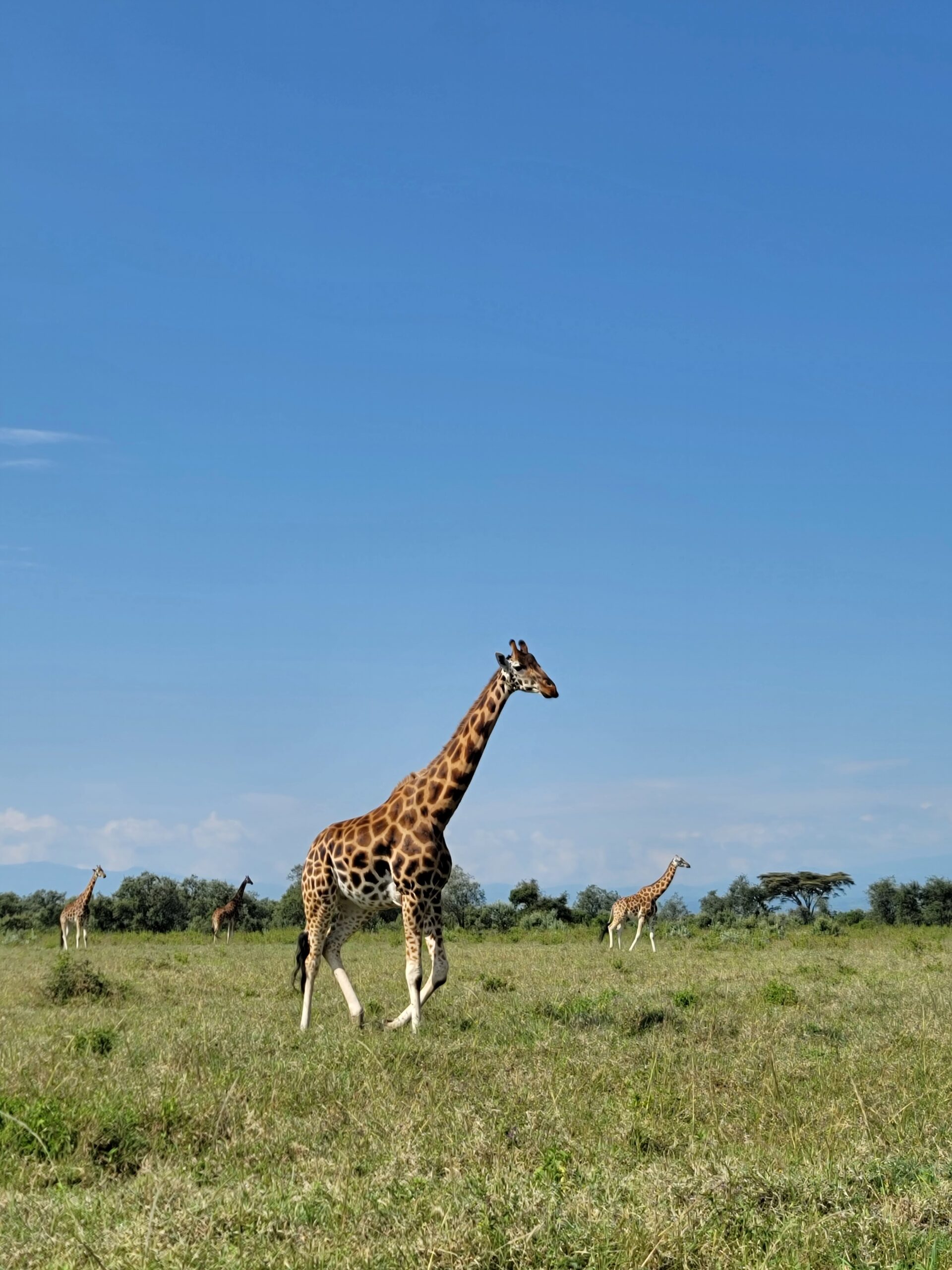 10 Days / 9 Nights Photographic Safari Itinerary