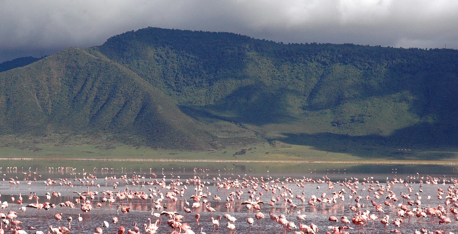 7 Days / 6 Nights Tanzania Safari Itinerary