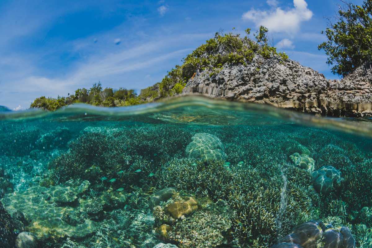 Watamu