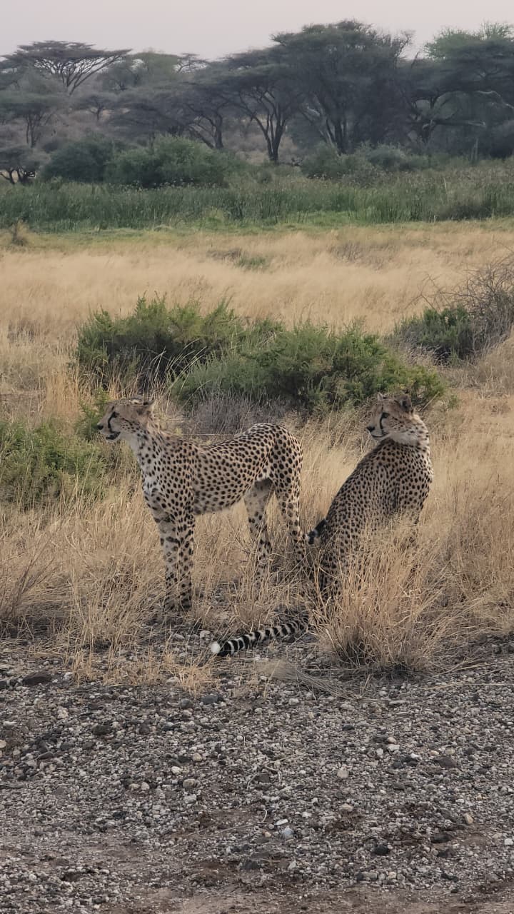 8 Days / 7 Nights Kenya Safari Itinerary