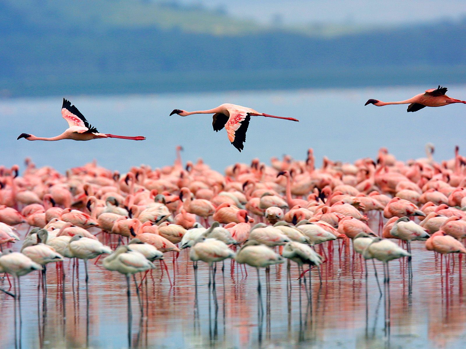 Nakuru