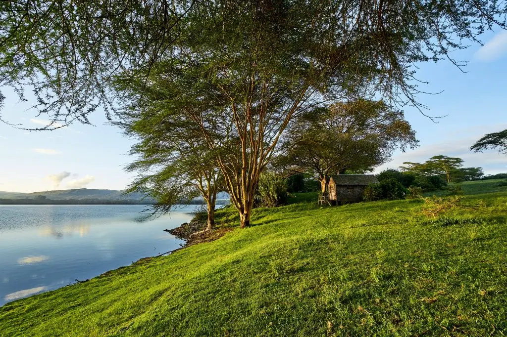 Naivasha